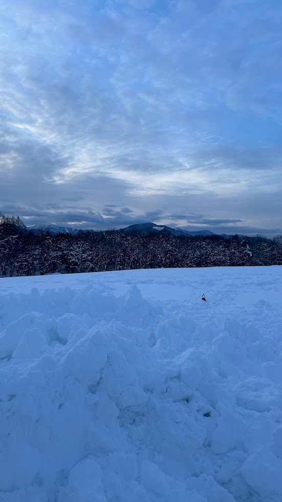 雪景色の写真